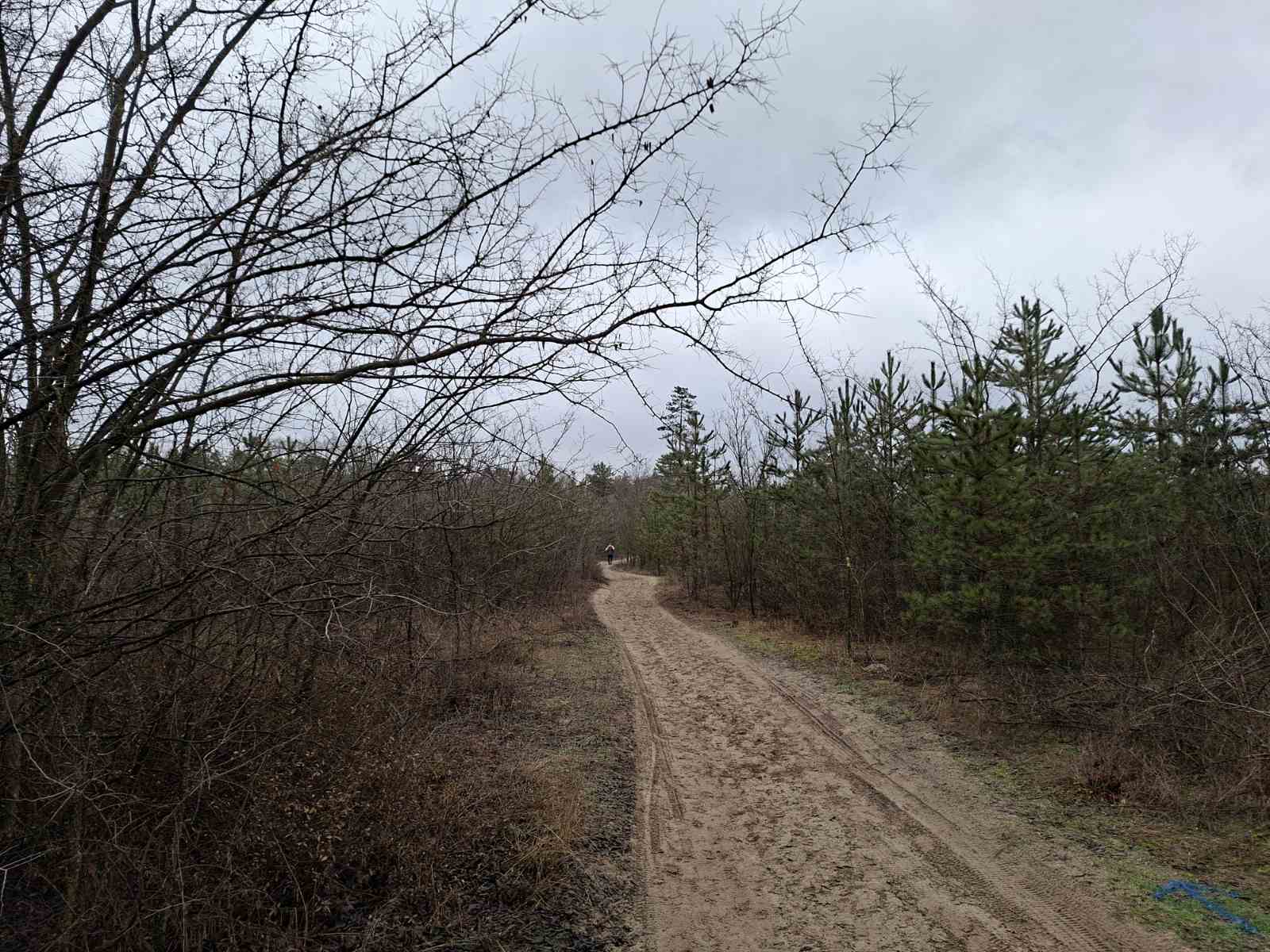 deo staze Backyard Ultra u Subotici